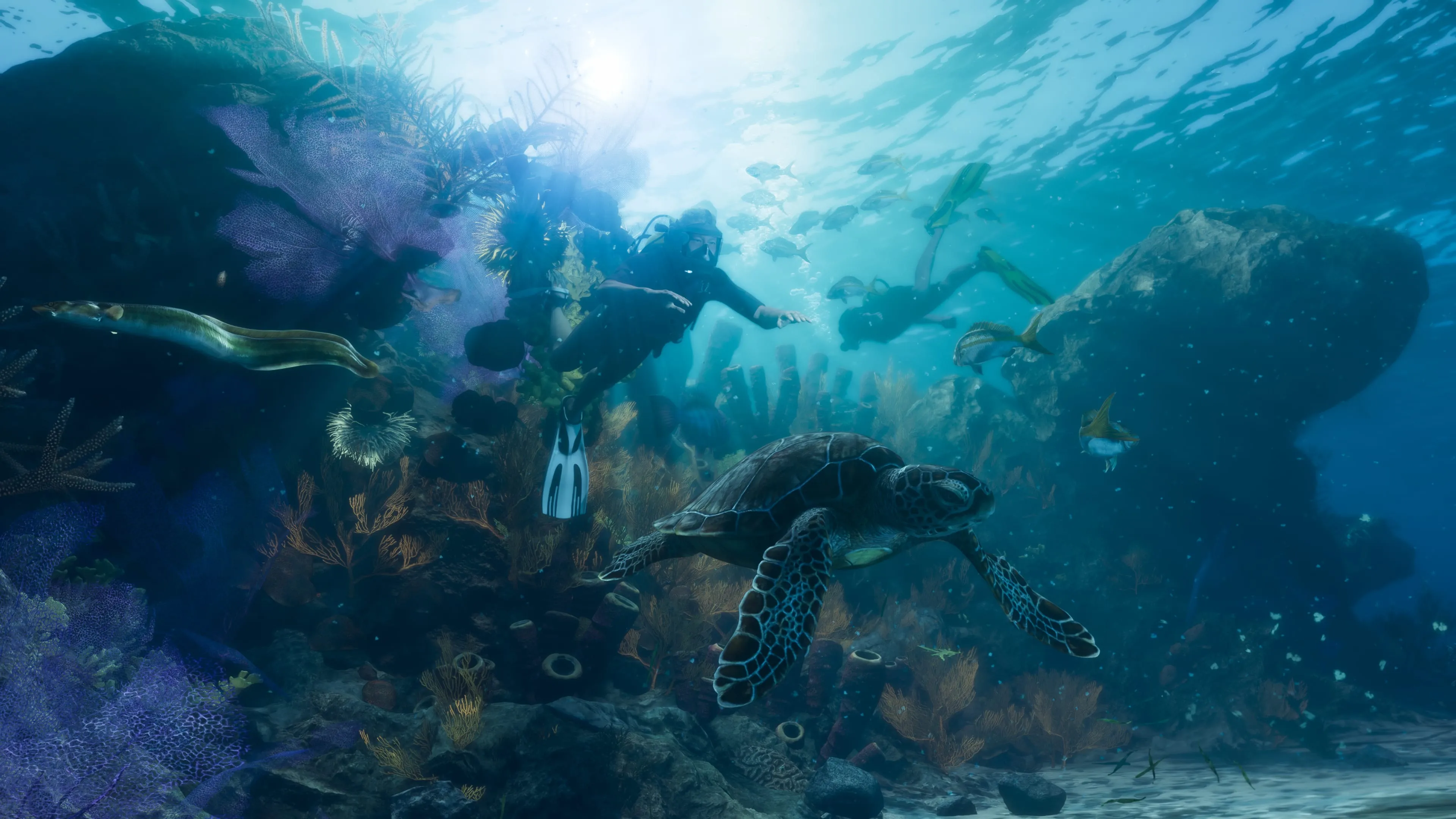 黑猫博客 - 优质综合资源分享平台！