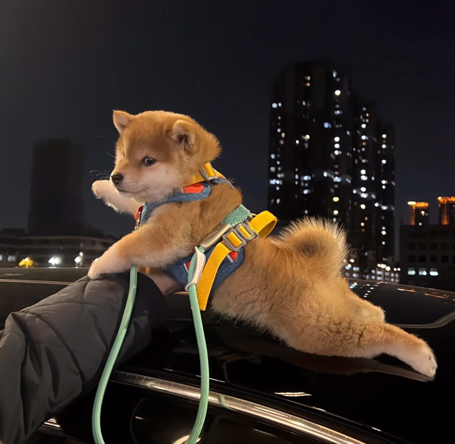 20250622211534237-QQ20250622-211332