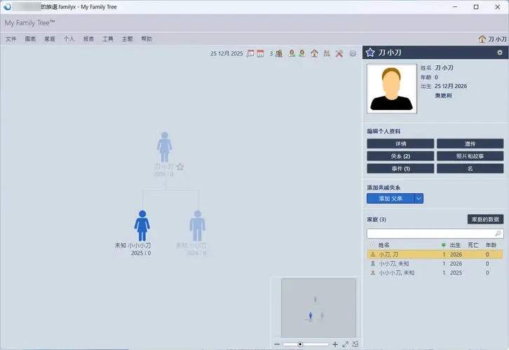 族谱制作工具My Family Tree v16.0.0.0绿色版-黑猫博客