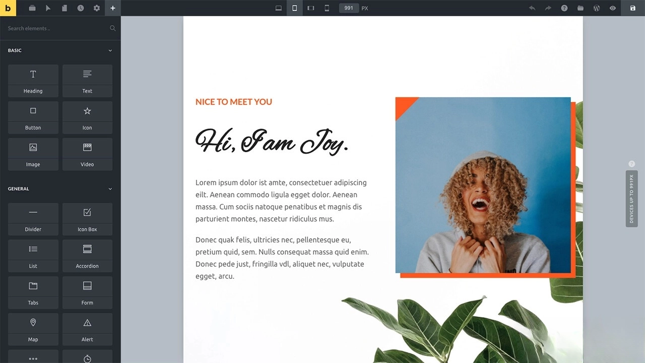 WordPress主题Bricks v1.9 破解版-黑猫博客