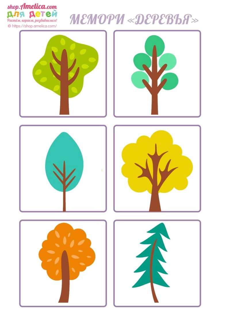 记忆卡片14-黑猫博客