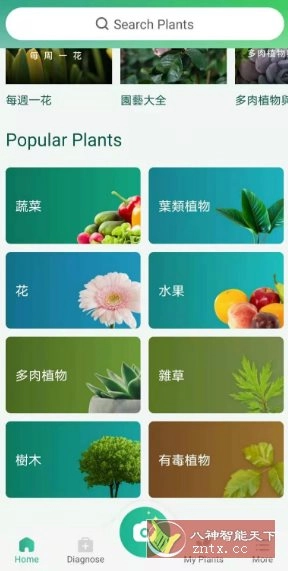 PictureThis 植物识别v5.23.0专业版-黑猫博客
