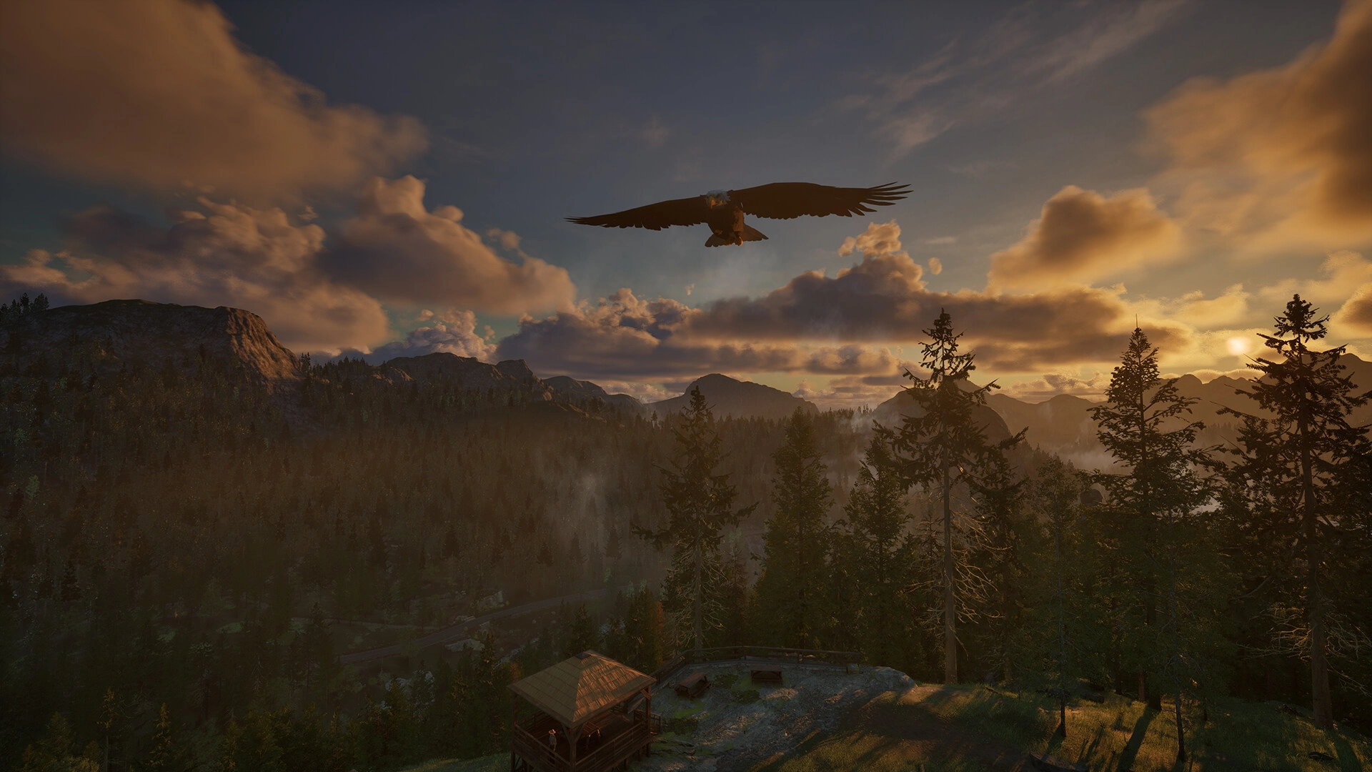 护林员之路：国家公园模拟器/Ranger’s Path: National Park Simulator-黑猫博客