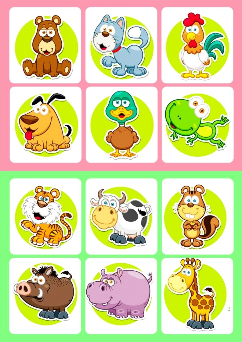 记忆卡片7-黑猫博客