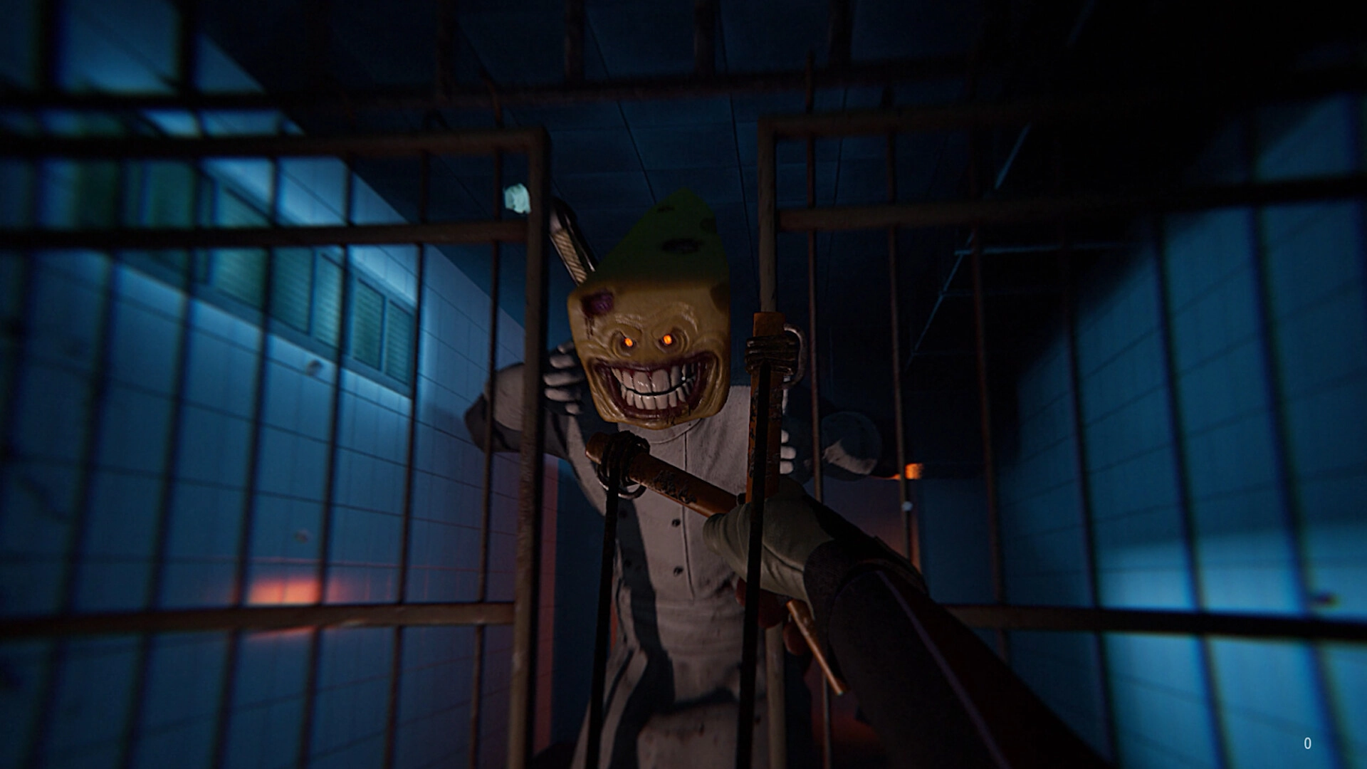 蒙特雷：杰克/Monterey Jack-黑猫博客