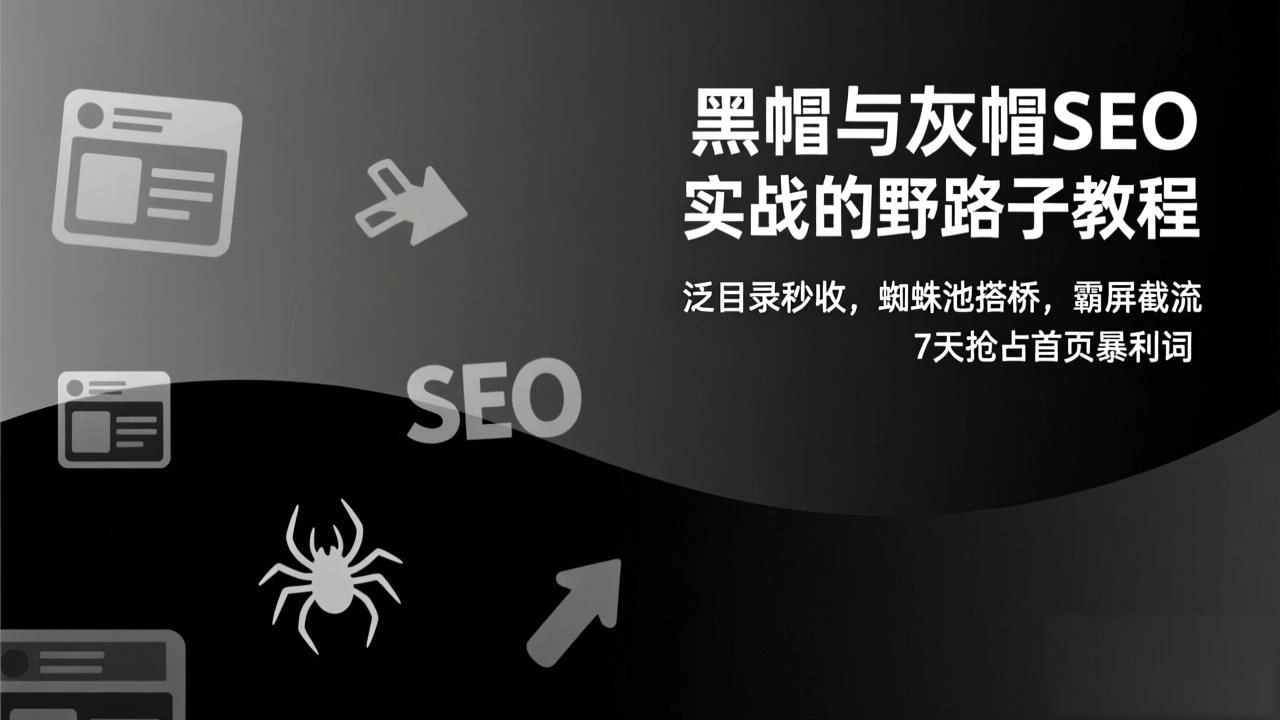 黑帽与灰帽SEO实战的野路子教程：泛目录秒收，蜘蛛池搭桥，霸屏截流，7天抢占首页暴利词-黑猫博客