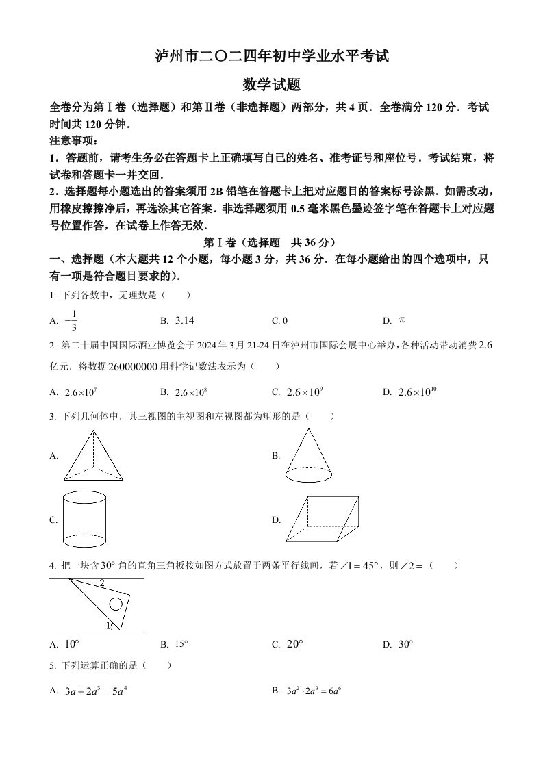 2024年四川省泸州市中考数学试题（空白卷）-黑猫博客