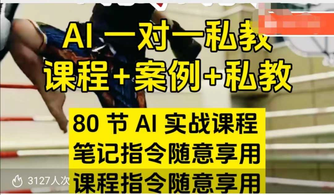 AI指令实战课，课程+案例，80节AI实战课程，笔记指令随意享用，课程指令随意享用（更新26年3月）-黑猫博客