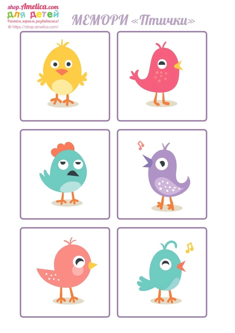 记忆卡片13-黑猫博客