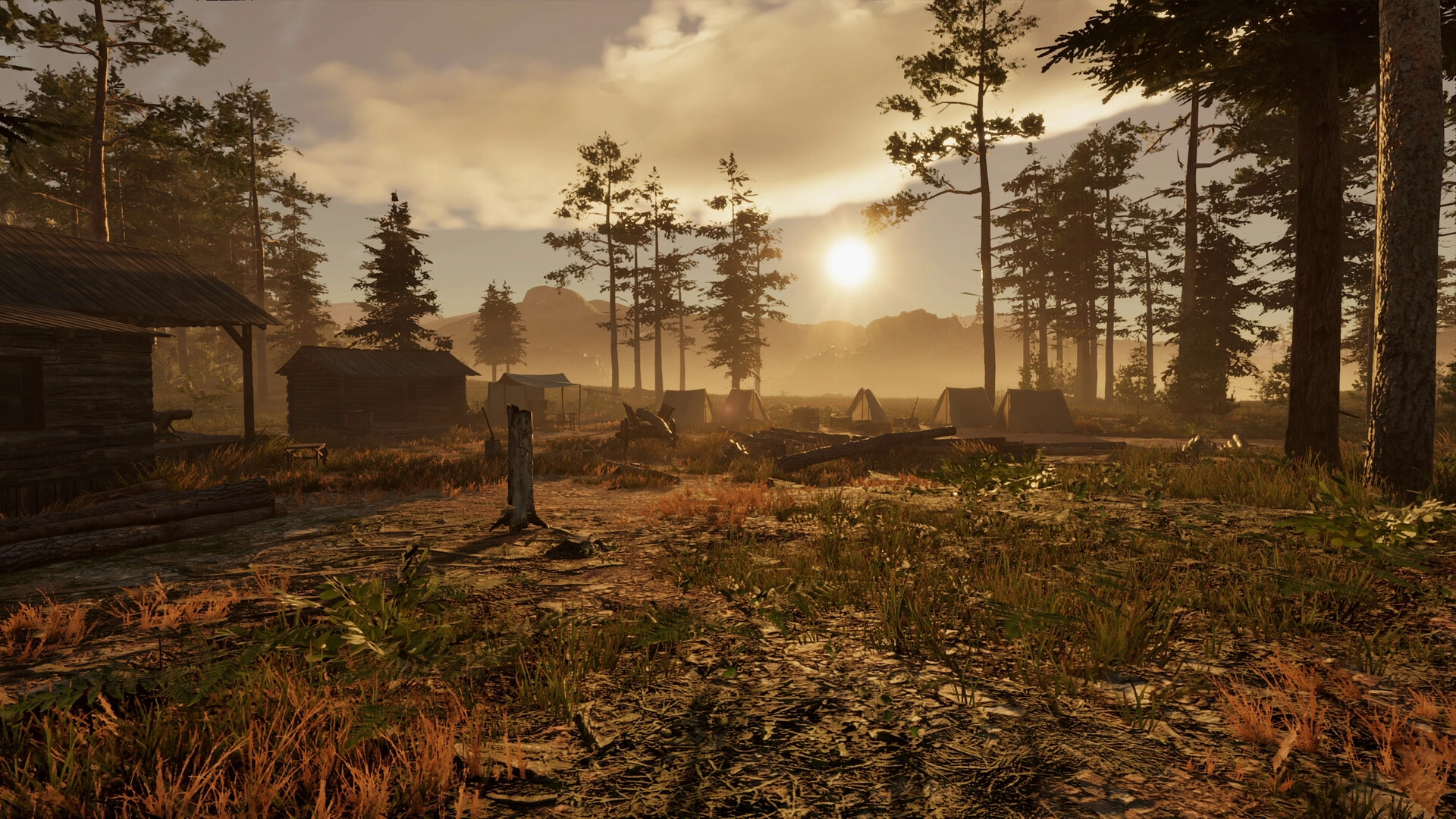 狂野西部时代/Wild West Dynasty