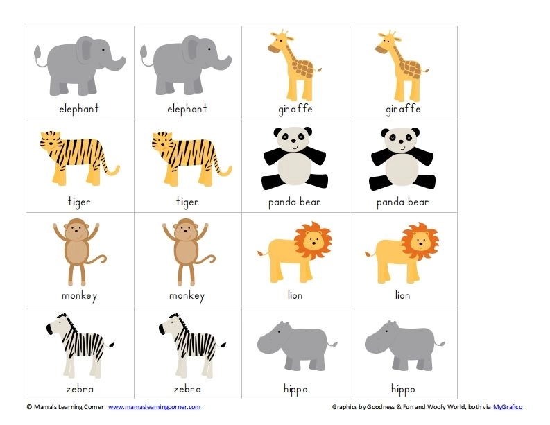 记忆卡片3-黑猫博客