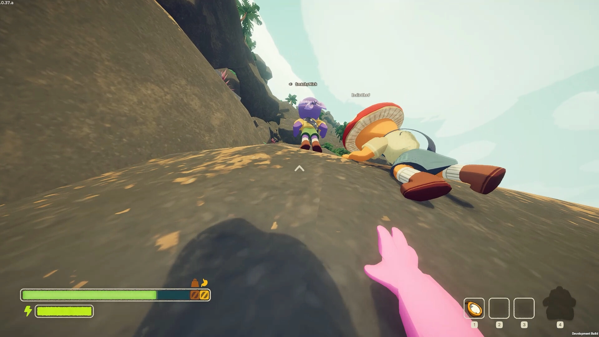 巅峰/PEAK/支持网络联机