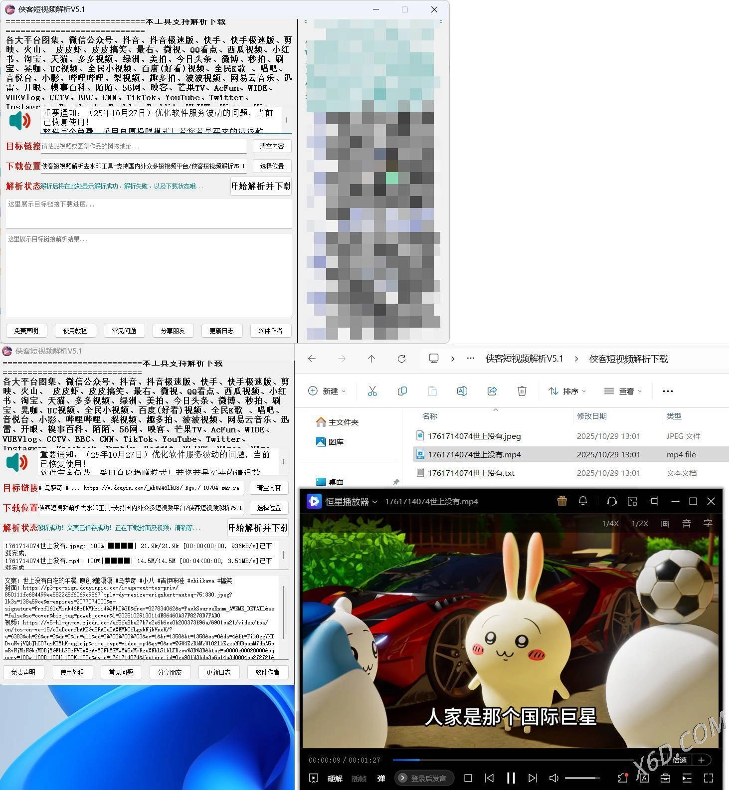侠客多平台短视频解析去水印工具 V5.1-黑猫博客