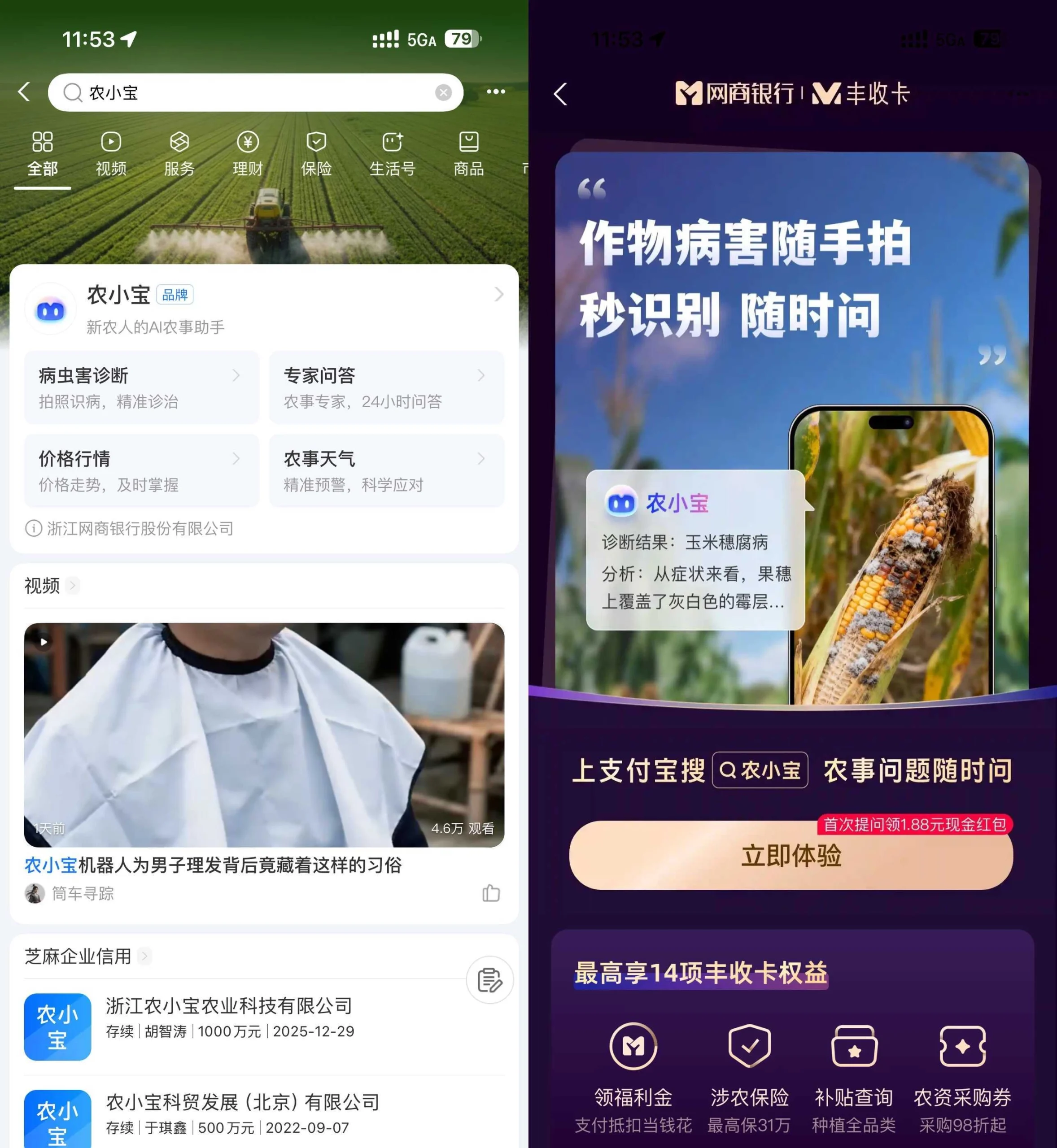 支付宝农小宝首次提问得1.88亓-黑猫博客