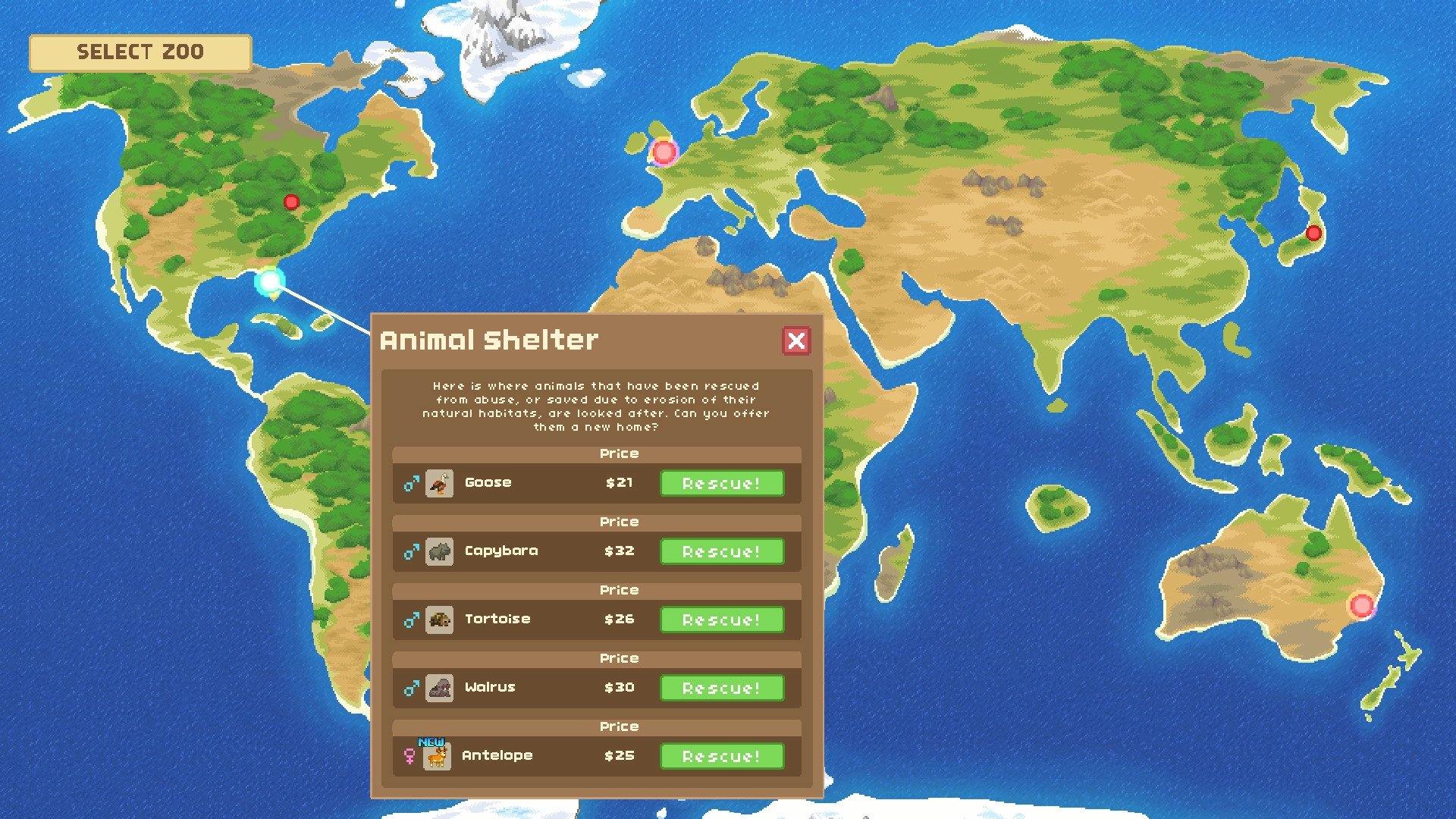 来建一家动物园/让我们建一个动物园吧/Let's Build a Zoo