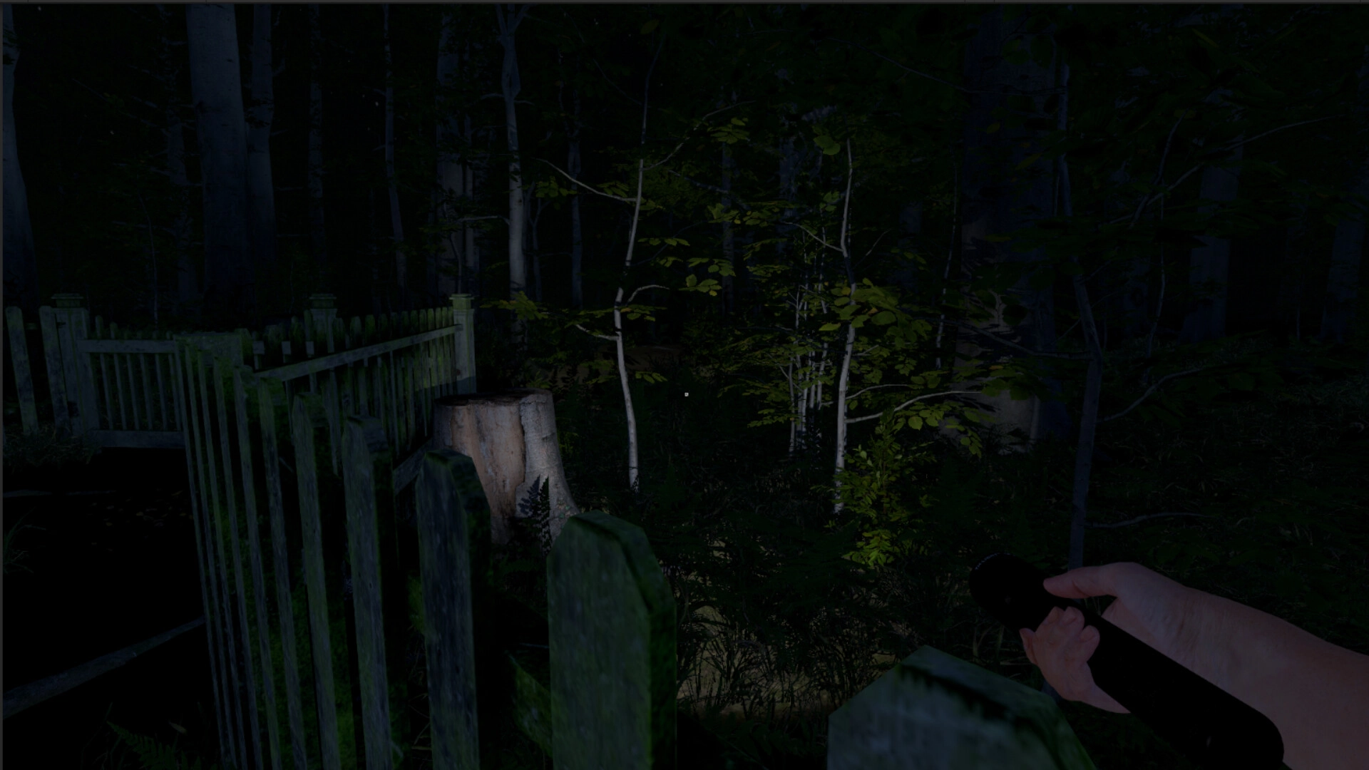 灰人：人类绑架/The Greys: Human Abductions